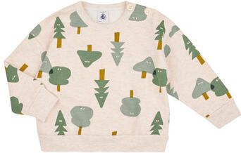 Petit Bateau Sweater TIGRO