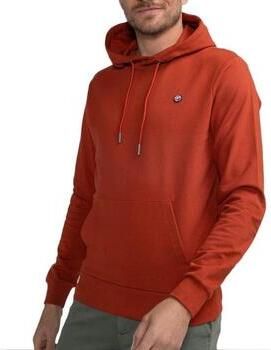 Petrol Industries Sweater