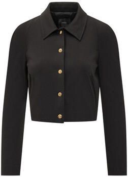 Pinko Blazer 105784A24C