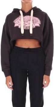 Pinko Capuchon sweaters 104112A25T