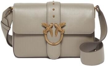 Pinko Handtas 104524A0QO