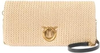 Pinko Handtas 106022 A391