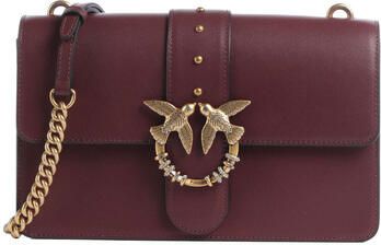 Pinko Handtas 107070_a0f1-ww5q