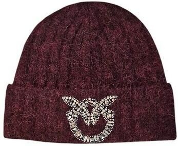 Pinko Hoed 107427A3EU