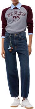 Pinko Jeans 103857A3HE