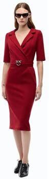 Pinko Jurk ARNEBIA 107475 A3AH-R59