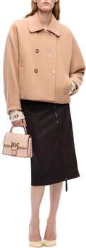 Pinko Mantel 107552A3FG
