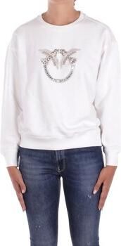 Pinko Sweater 100534 A2RO