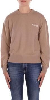 Pinko Trui 105561 A2SI