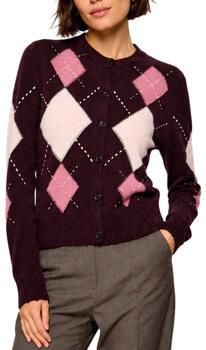 Pinko Trui 107284A3IE