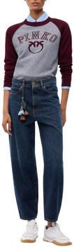 Pinko Trui AMSTERDAM 107326 A3IO-IY9