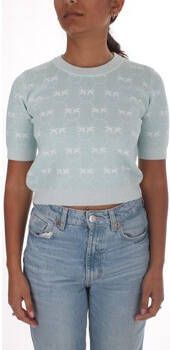 Pinko Trui 100215 A0IT