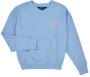 Polo Ralph Lauren Sweater BUBBLE PO CN-KNIT SHIRTS-SWEATSHIRT - Thumbnail 2