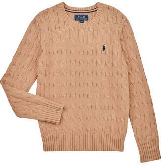 Polo Ralph Lauren Bruine Sweaters Ralph Lauren Collectie Bruin Heren