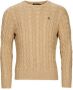 Ralph Lauren Bruine Sweater van Kasjmier en Wol met Iconisch Pony Logo Brown Heren - Thumbnail 1
