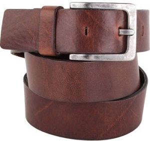 Profuomo Riem Polish Bruin