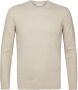 PROFUOMO Heren Truien & Vesten Pullover Crew Neck Beige - Thumbnail 1