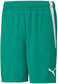 Puma Broek teamLIGA Shorts