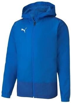 Puma Blazer Teamgoal 23