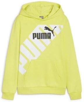 Puma Capuchon sweaters 679256