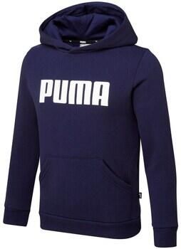Puma Capuchon sweaters 84759602
