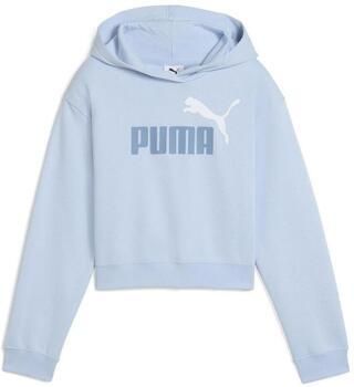 Puma Capuchon sweaters Ess 2 Color