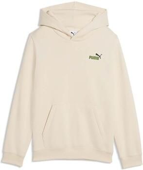 Puma Capuchon sweaters Ess 2 Color Small No. 1 Logo Hoodie Fl B