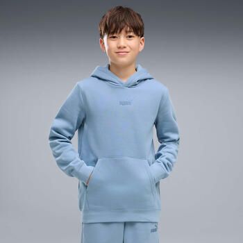 Puma Capuchon sweaters Ess Small No.1 Logo Centered Hoodie Fl B