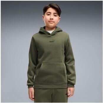 Puma Capuchon sweaters Ess Small No.1 Logo Centered Hoodie Fl B
