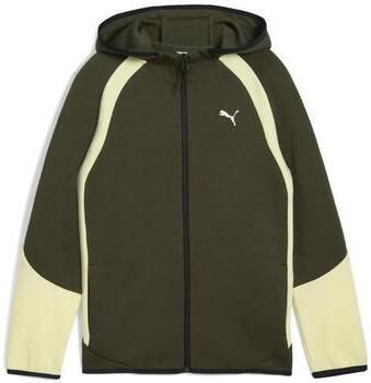 Puma Capuchon sweaters Evostripes