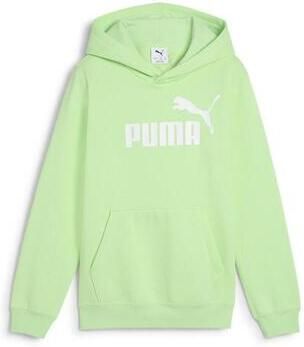 Puma Capuchon sweaters Hoodi