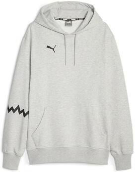 Puma Capuchon sweaters Hoops Team Hoodie