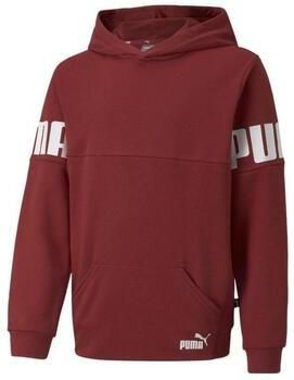 Puma Capuchon sweaters Power