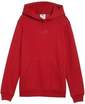 Puma Capuchon sweaters Smalles