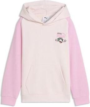 Puma Capuchon sweaters Super Hoodie
