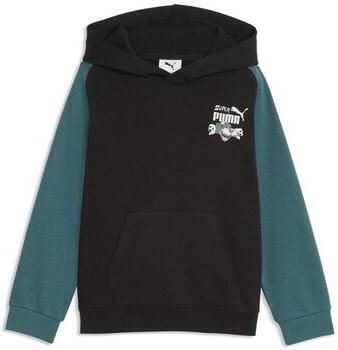 Puma Capuchon sweaters Super