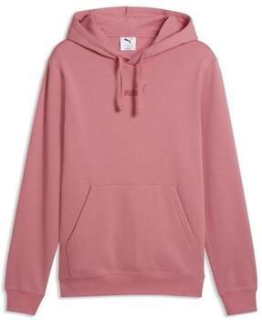 Puma Capuchon sweaters Sweat À Capuche