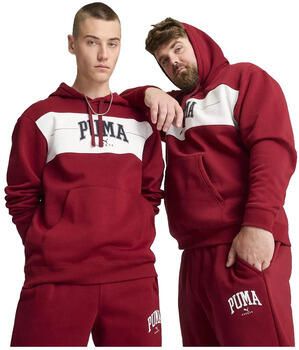 Puma Capuchon sweaters Sweat à capuche Vêtements de sport rouge