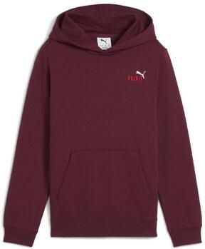 Puma Capuchon sweaters Sweat