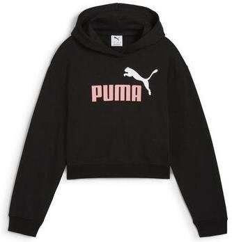 Puma Capuchon sweaters Sweat