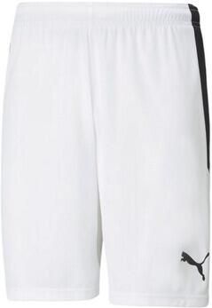 Puma Korte Broek 70492404