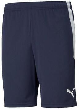 Puma Korte Broek Short Teamliga Training bleu