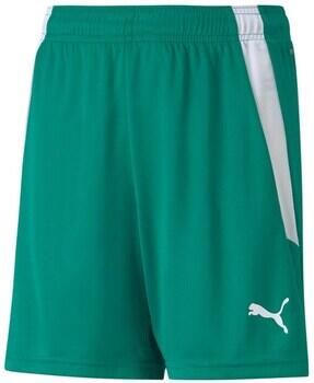 Puma Korte Broek Teamliga