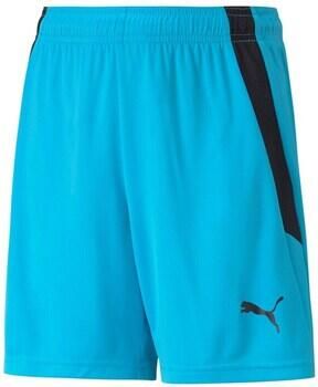 Puma Korte Broek Teamliga