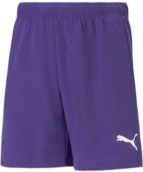 Puma Korte Broek Teamrise