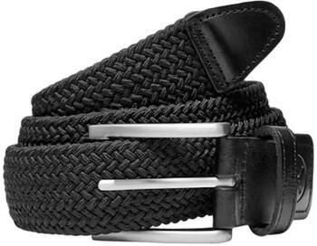 Puma Riem