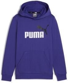 Puma Sweater ESS+ 2 COL BIG LOGO HOODIE FL