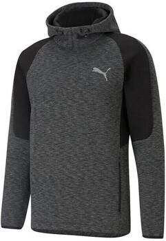 Puma Sweater Evostripe Hoodie