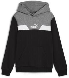 Puma Sweater POWER COLORBLOCK HOODIE TR