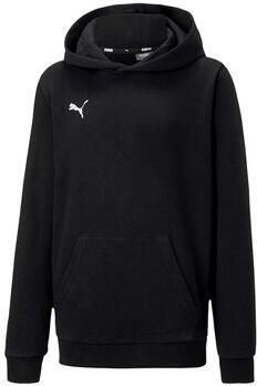 Puma Sweater Teamgoal 23 Causals Hoody